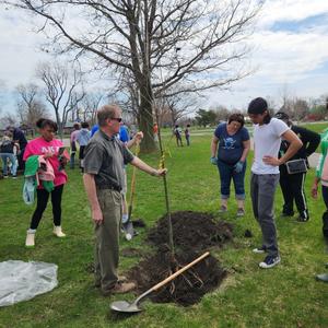 Tree Planting Grounds of Buffalo Museum of Science