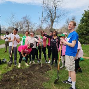 Tree Planting Grounds of Buffalo Museum of Sciencejpg