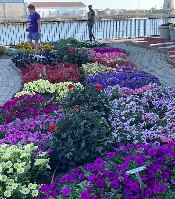 Buffalo Green Fund Waterfront