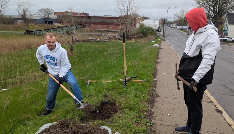 Tree planting