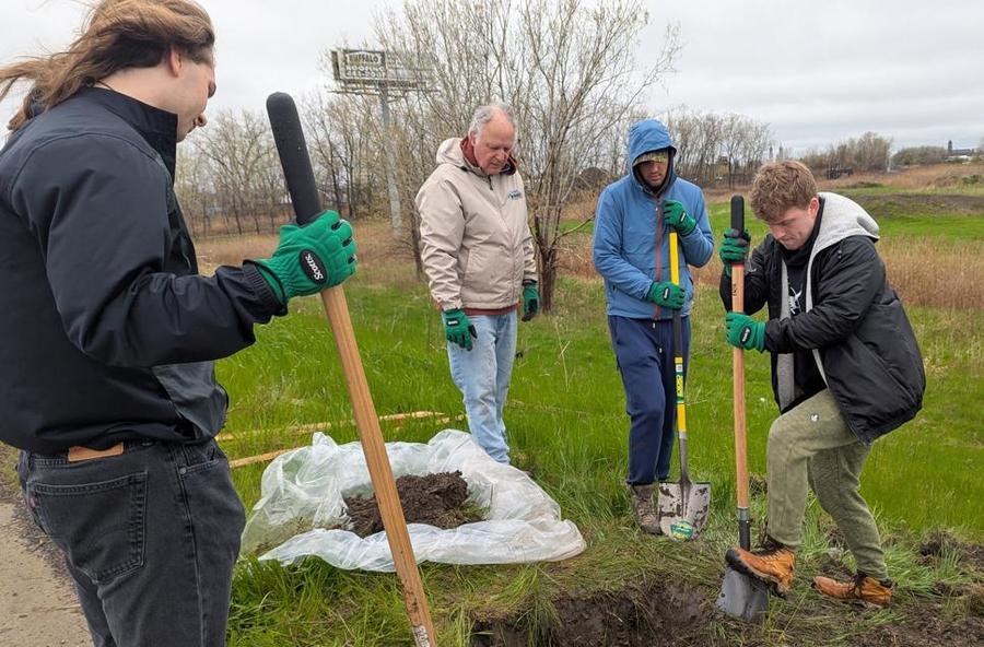Tree planting