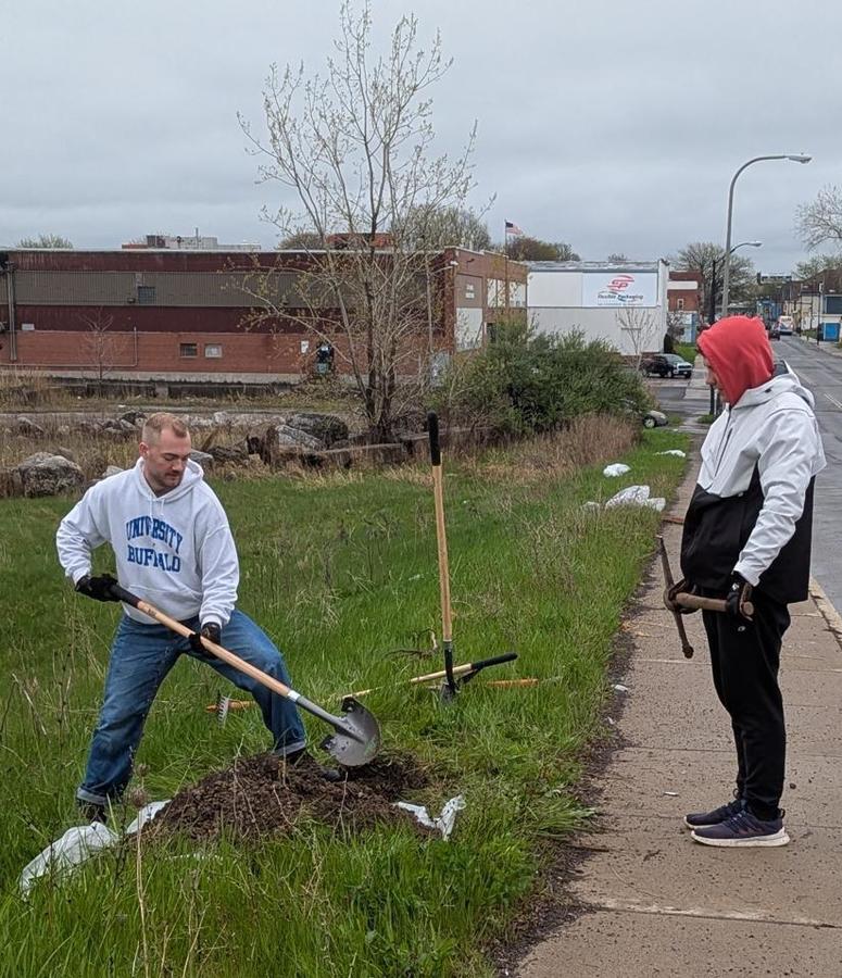 Tree planting