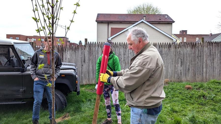 Tree Planting 2.jpg