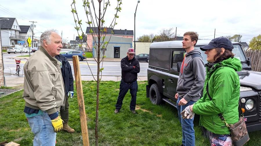 Tree Planting 3.jpg