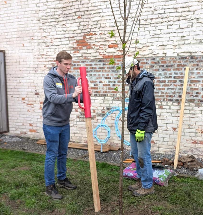Tree Planting 4.jpg