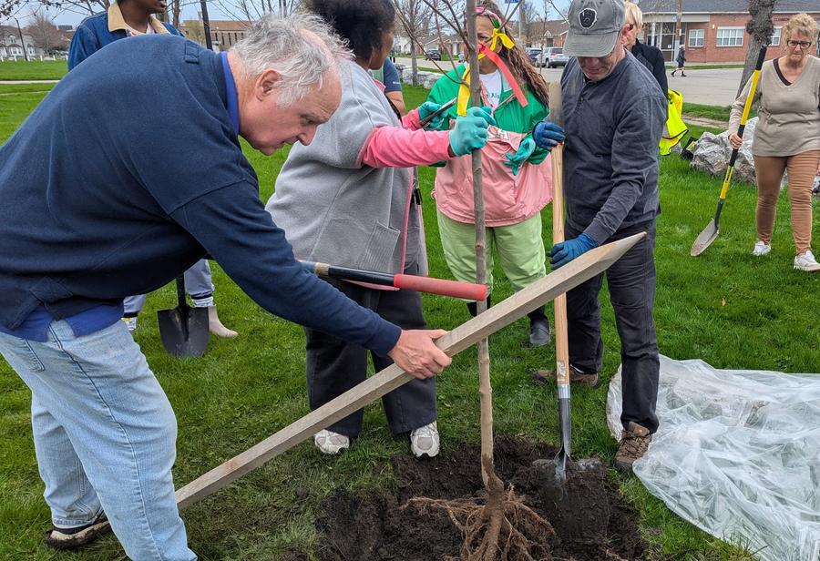 Planting 2.jpg