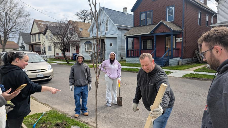 Tree Planting 1.jpg