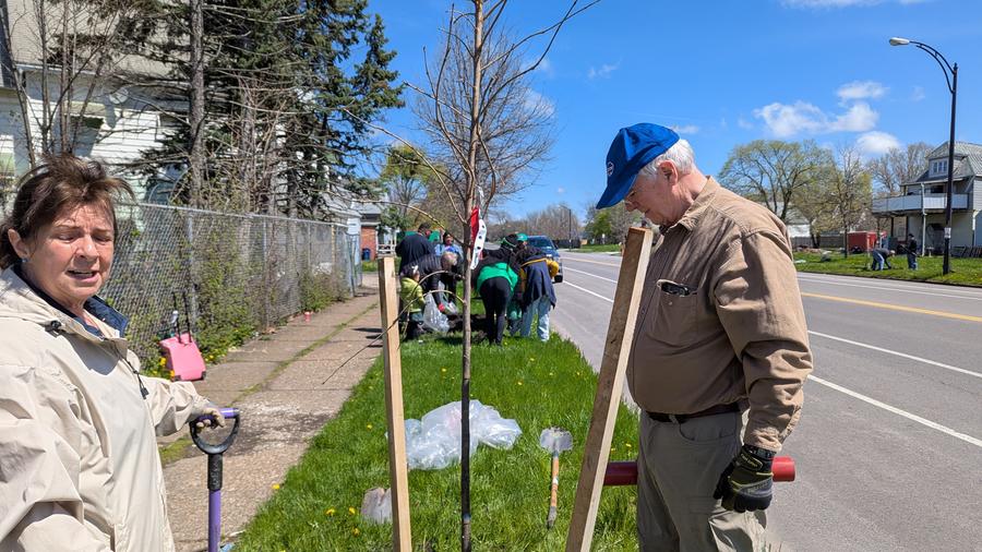 Tree Planting 5.jpg