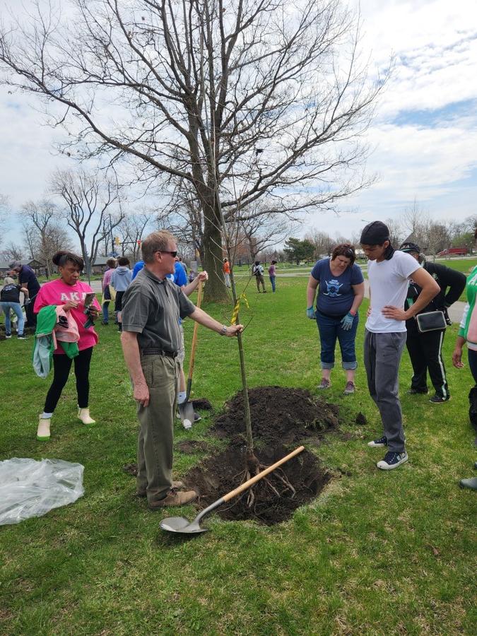 Tree Planting Grounds of Buffalo Museum of Science