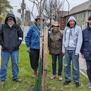 Second tree planted after workshop Torn Theatre.jpg