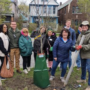 Tree planted after workshop Torn Theatre.jpg