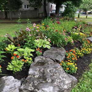 Buffalo in Bloom 11.jpg