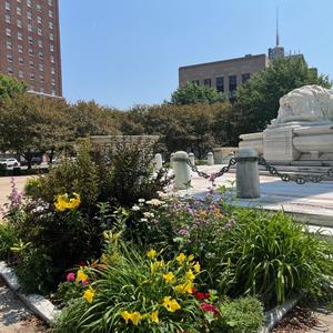 Buffalo in Bloom 4.jpg