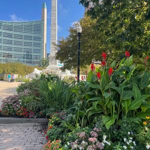 Buffalo in Bloom 5.jpg