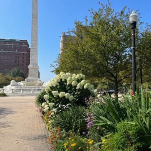 Buffalo in Bloom 6.jpg