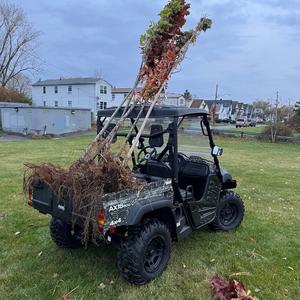 Buffalo in Bloom 8.jpg