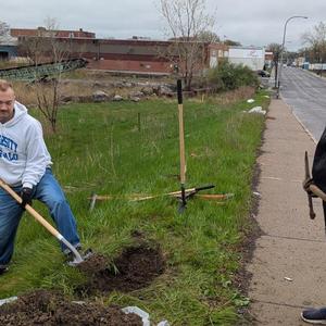 Tree planting