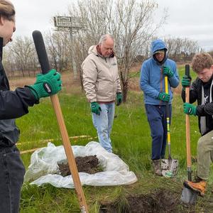 Tree planting