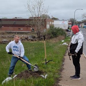 Tree planting
