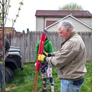 Tree Planting 2.jpg