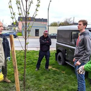 Tree Planting 3.jpg