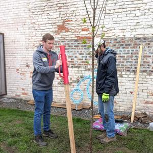 Tree Planting 4.jpg