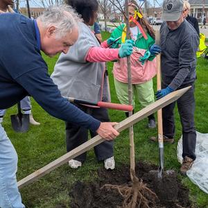 Planting 2.jpg
