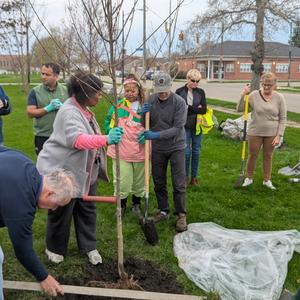 Planting 6.jpg