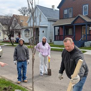 Tree Planting 1.jpg