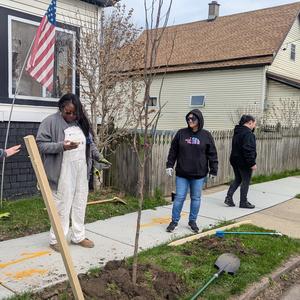 Tree Planting 2.jpg