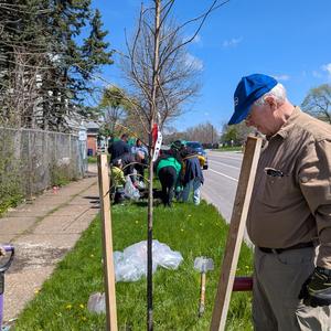 Tree Planting 5.jpg
