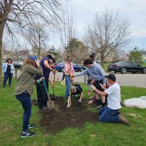 Tree Planting Grounds of Buffalo Museum of Sciencejpg