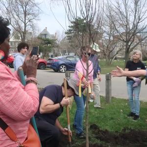 Tree planting.jpeg