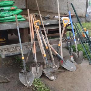 Thank you to our wonderful tree planting volunteers.jpeg