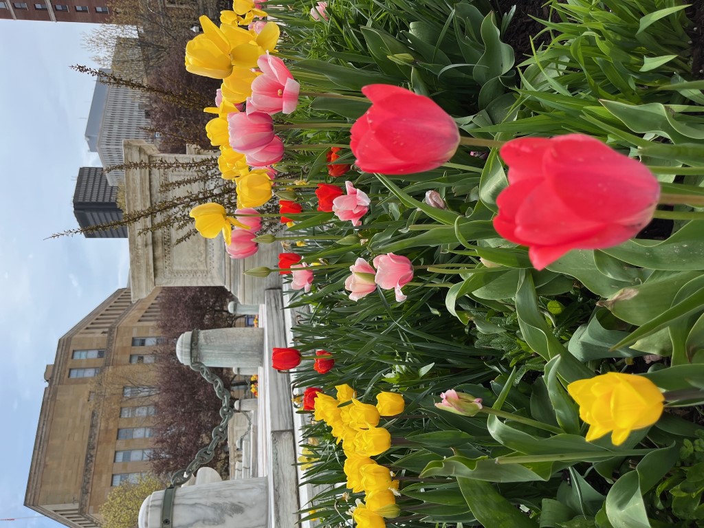 Niagara Square